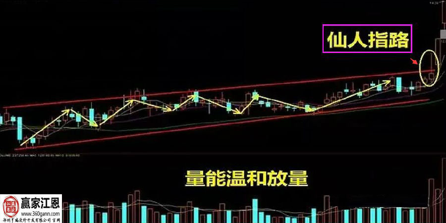 仙人指路形態(tài).jpg