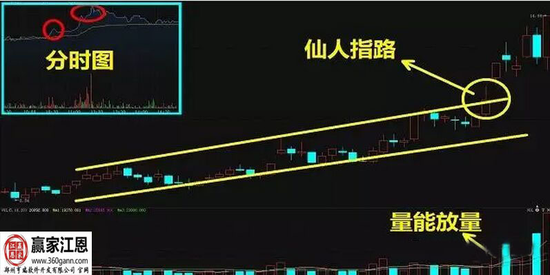 仙人指數(shù)技術(shù)要點(diǎn).jpg