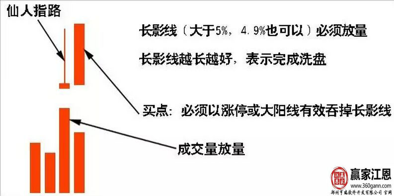 仙人指路形態(tài)3.jpg