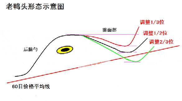 老鴨頭示意圖.jpg