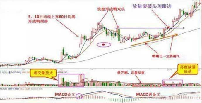 老鴨頭實(shí)戰(zhàn)圖形.jpg