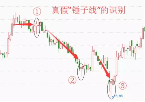 華策影視.jpg